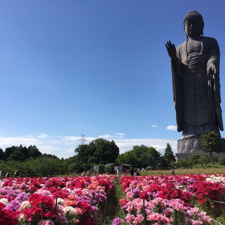 #牛久大仏