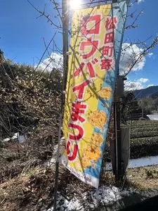 松田町寄自然休養村