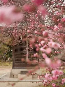 御厨神社
