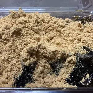 わらびもちもとこ
