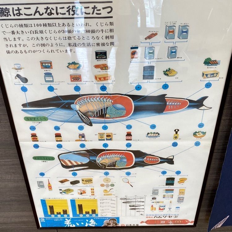 Satoshi.Nさんが投稿した和田浜に関する口コミの画像