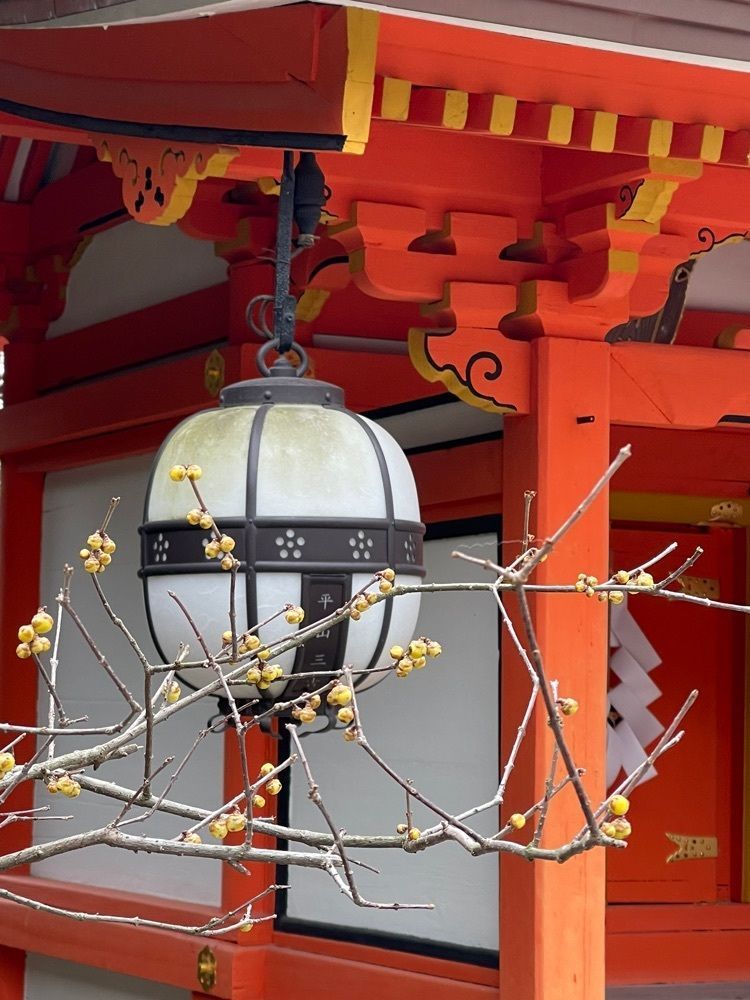 cocoa815さんが投稿した長五郎餅 北野天満宮 境内茶店に関する口コミの画像
