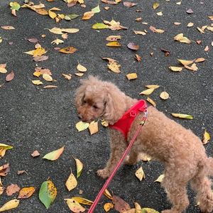 旧田中家鋳物民俗資料館