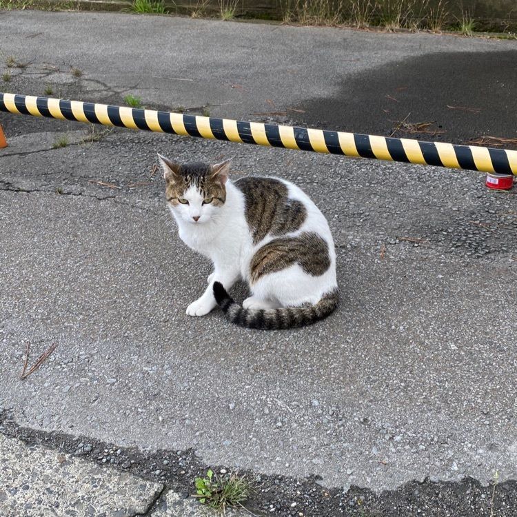 かめ_メグミさんが投稿した青森銀行記念館に関する口コミの画像