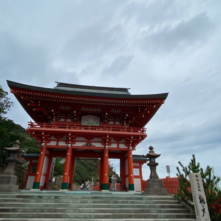 surumeの画像