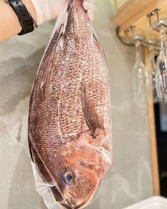 寿司 天ぷら 明 難波 心斎橋店（寿司×天ぷら 明） 5枚目