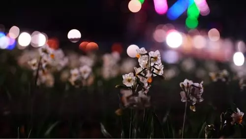葛西臨海公園 バーベキュー広場