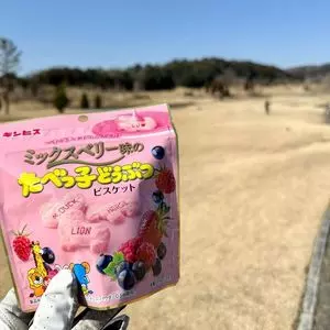 サンリゾートカントリークラブ