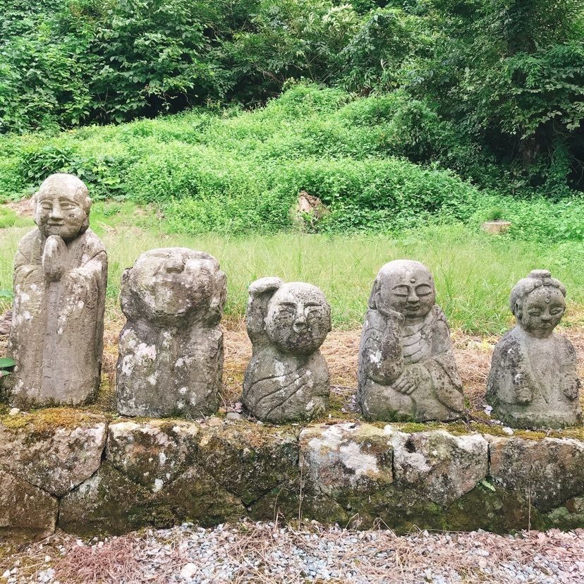猫なぎ。さんが投稿した向川寺に関する口コミの画像