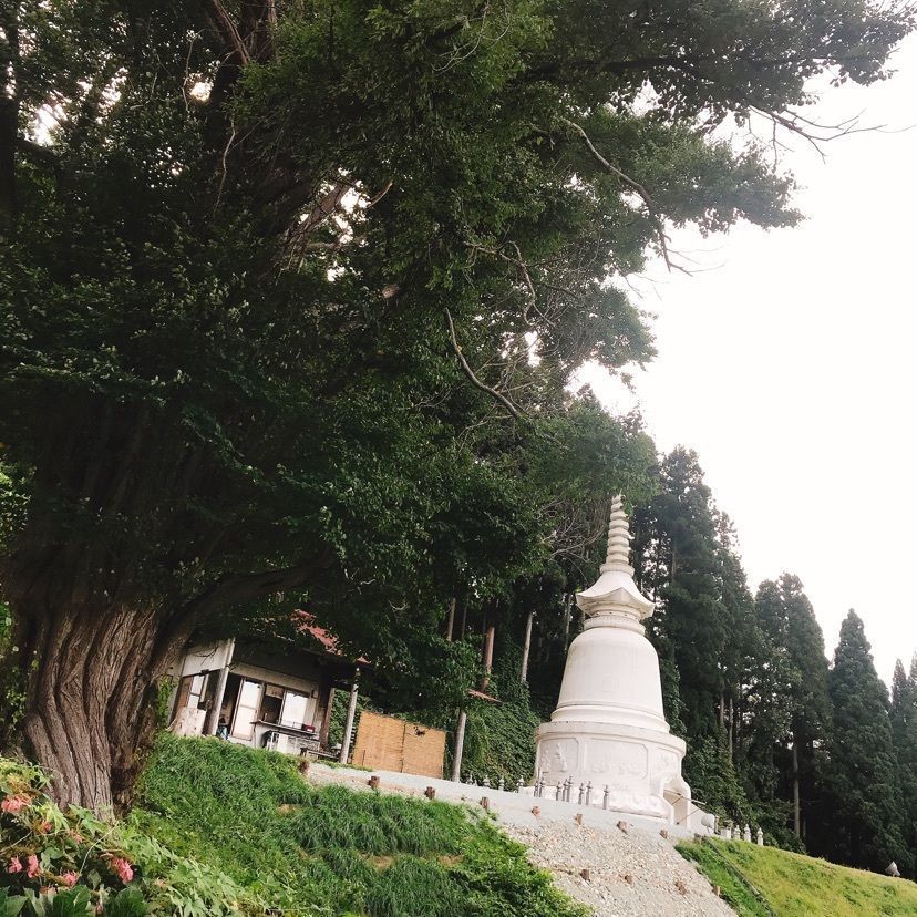 猫なぎ。さんが投稿した向川寺に関する口コミの画像