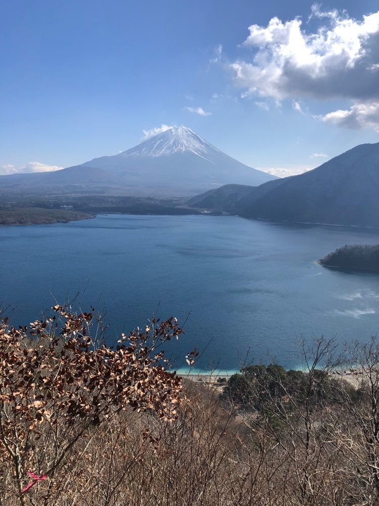 take.aさんが投稿した浩庵に関する口コミの画像