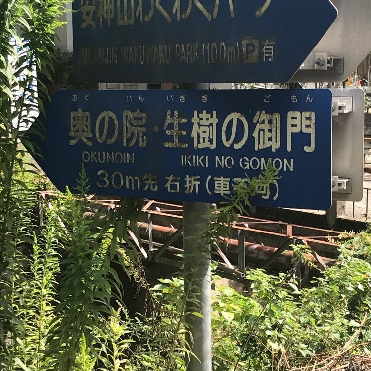 キングチェリーさんが投稿した大山祇神社のクスに関する口コミの画像