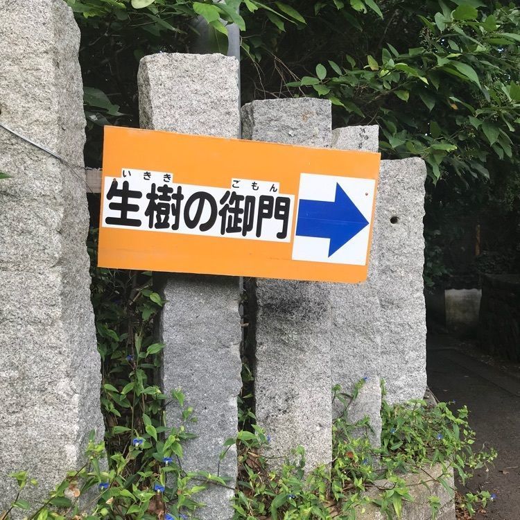 キングチェリーさんが投稿した大山祇神社のクスに関する口コミの画像