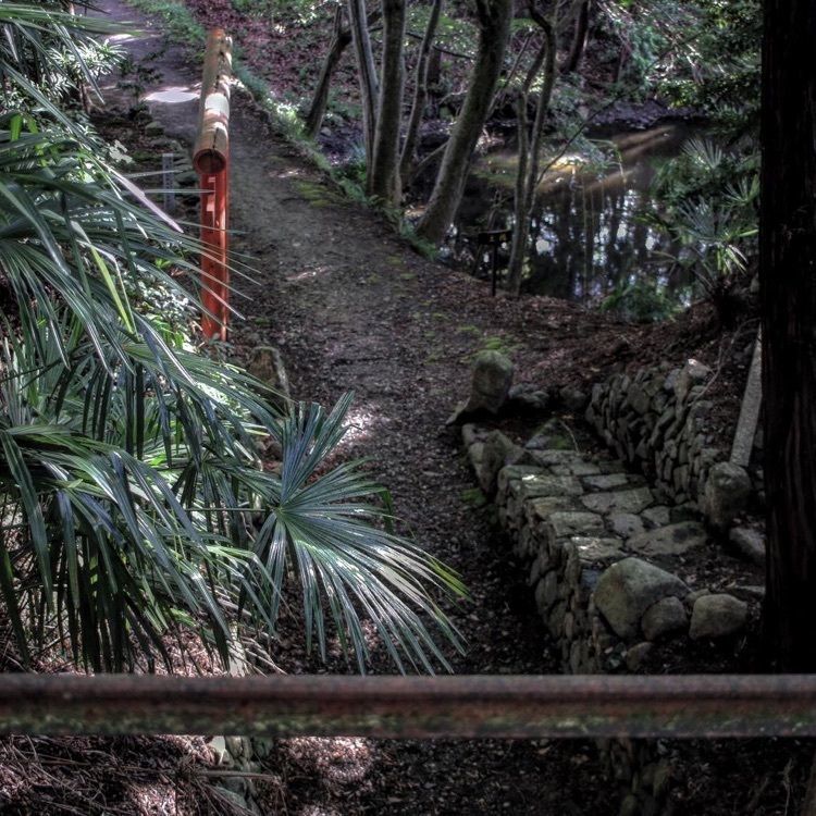 93さんが投稿した中野城跡（日野城跡）に関する口コミの画像