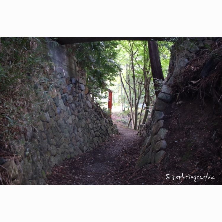 93さんが投稿した中野城跡（日野城跡）に関する口コミの画像