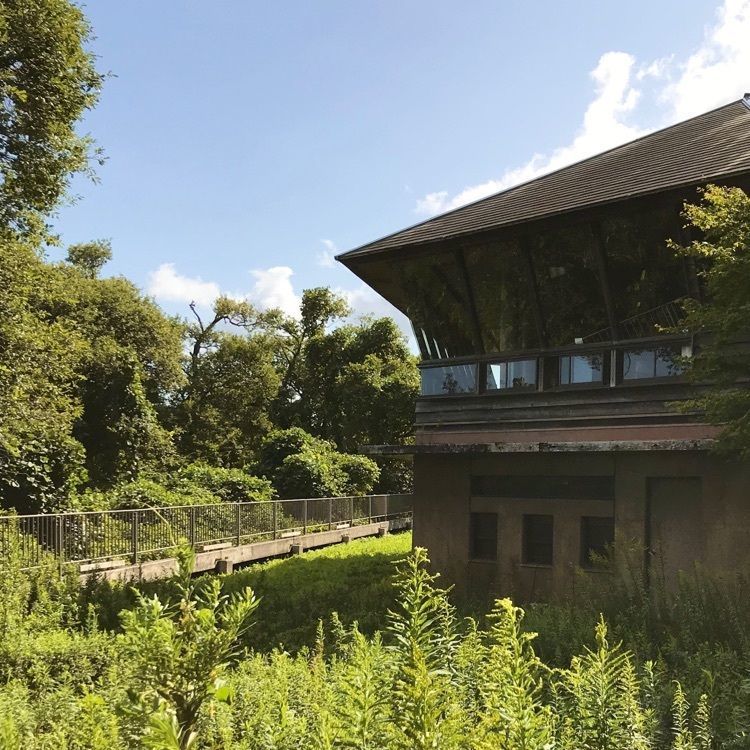 NBR OTさんが投稿した高島市新旭水鳥観察センターに関する口コミの画像