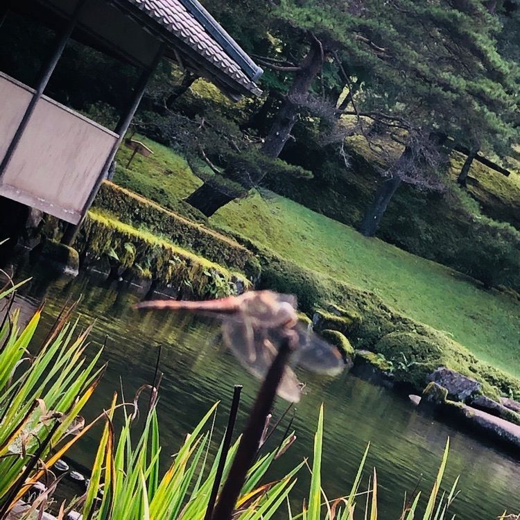 池ちゃんさんが投稿した古峯神社 宿坊（コブガハラジンジャシュクボウ）に関する口コミの画像