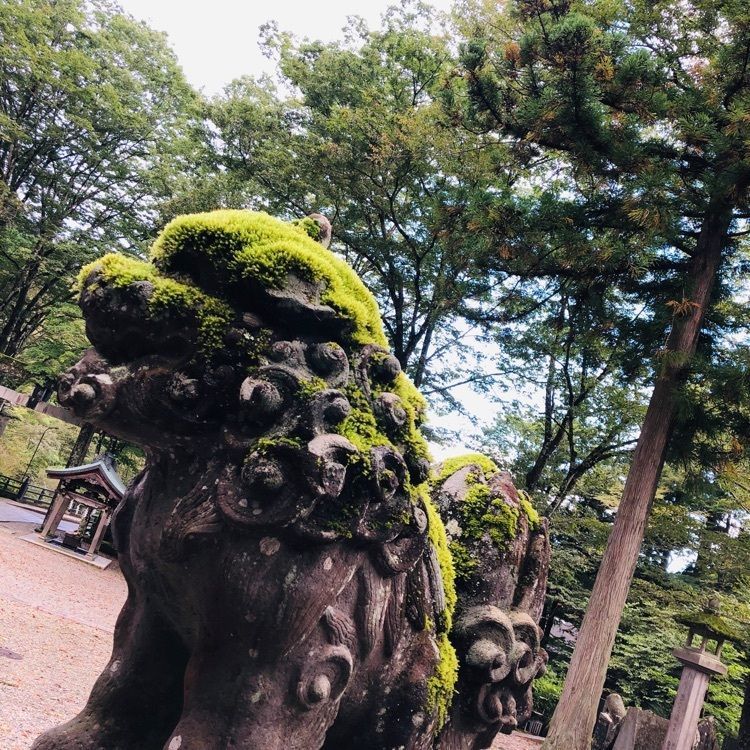 池ちゃんさんが投稿した古峯神社 宿坊（コブガハラジンジャシュクボウ）に関する口コミの画像
