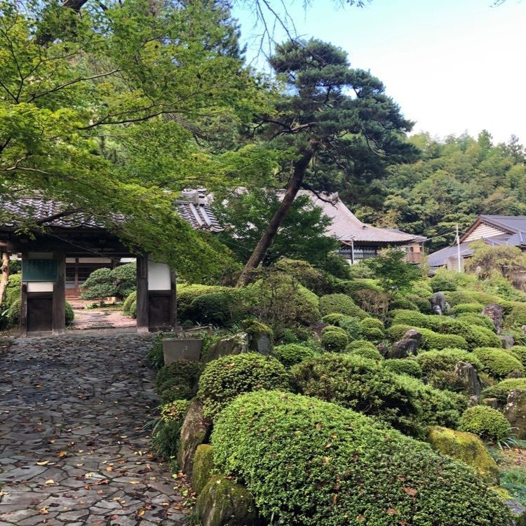s.kさんが投稿した霊山院に関する口コミの画像