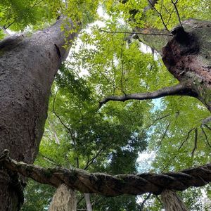 Market Terrace 川越市場の森 本店（マーケットテラス） 6枚目