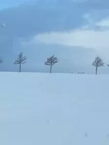 メルヘンの丘