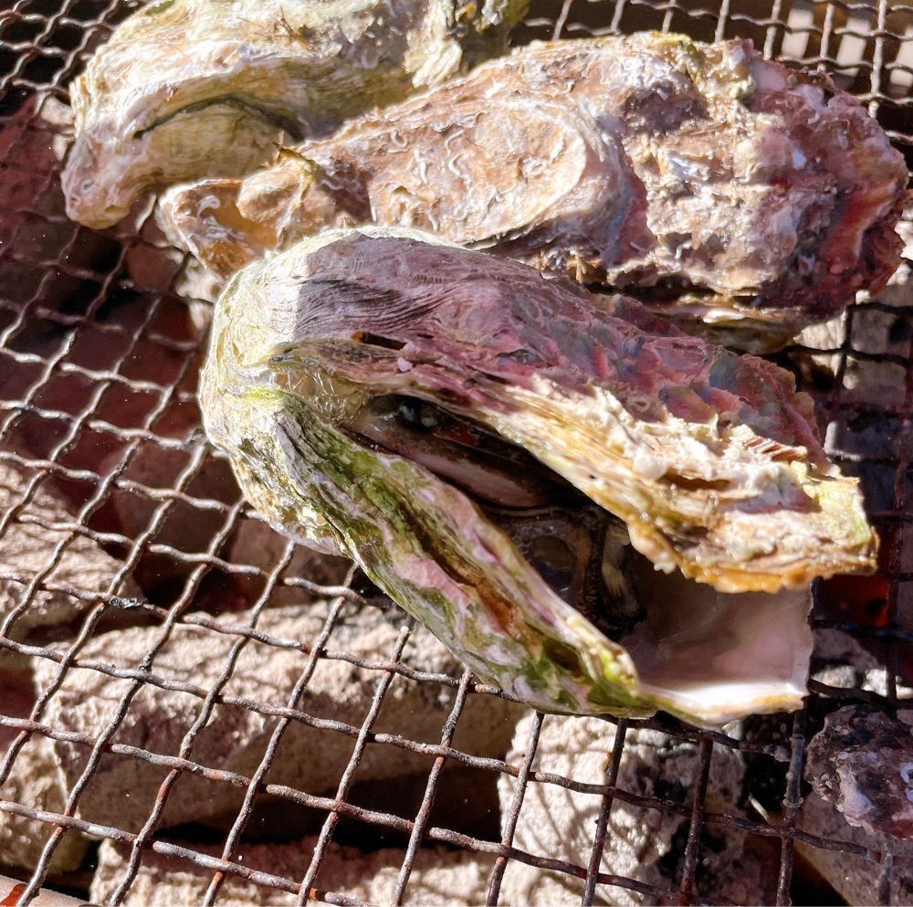 みーなさんが投稿した島田水産に関する口コミの画像