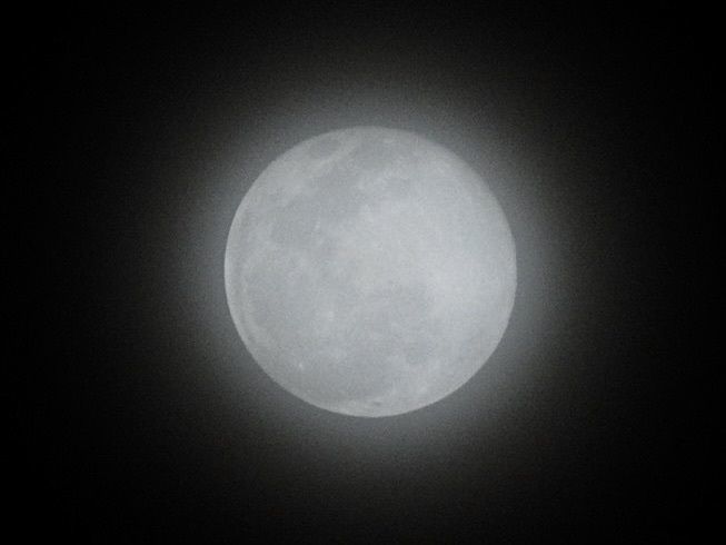 junkunさんが投稿した三丁目さちに関する口コミの画像