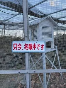 白蛇神社