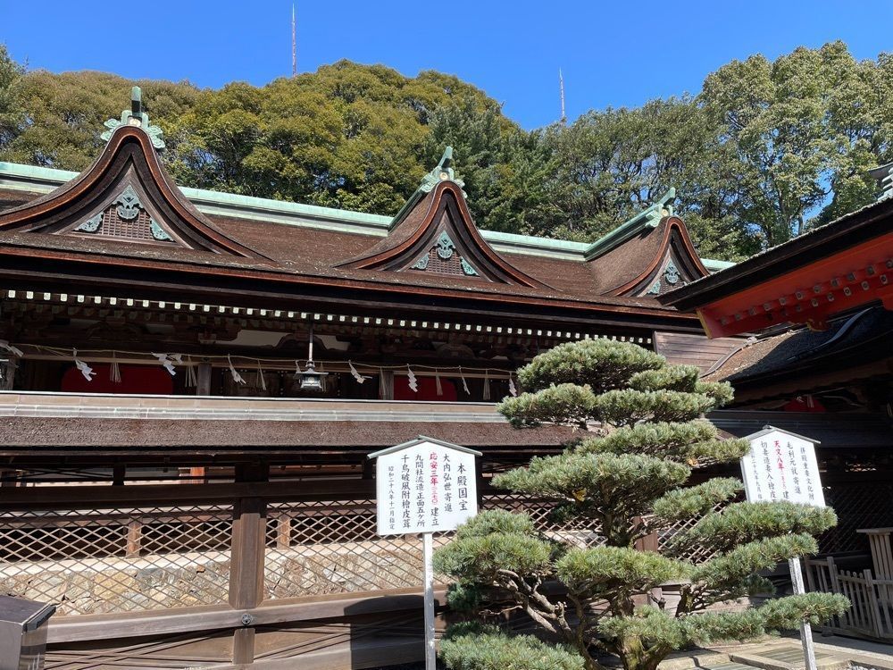 みーなさんが投稿した長門国一の宮住吉神社社叢に関する口コミの画像