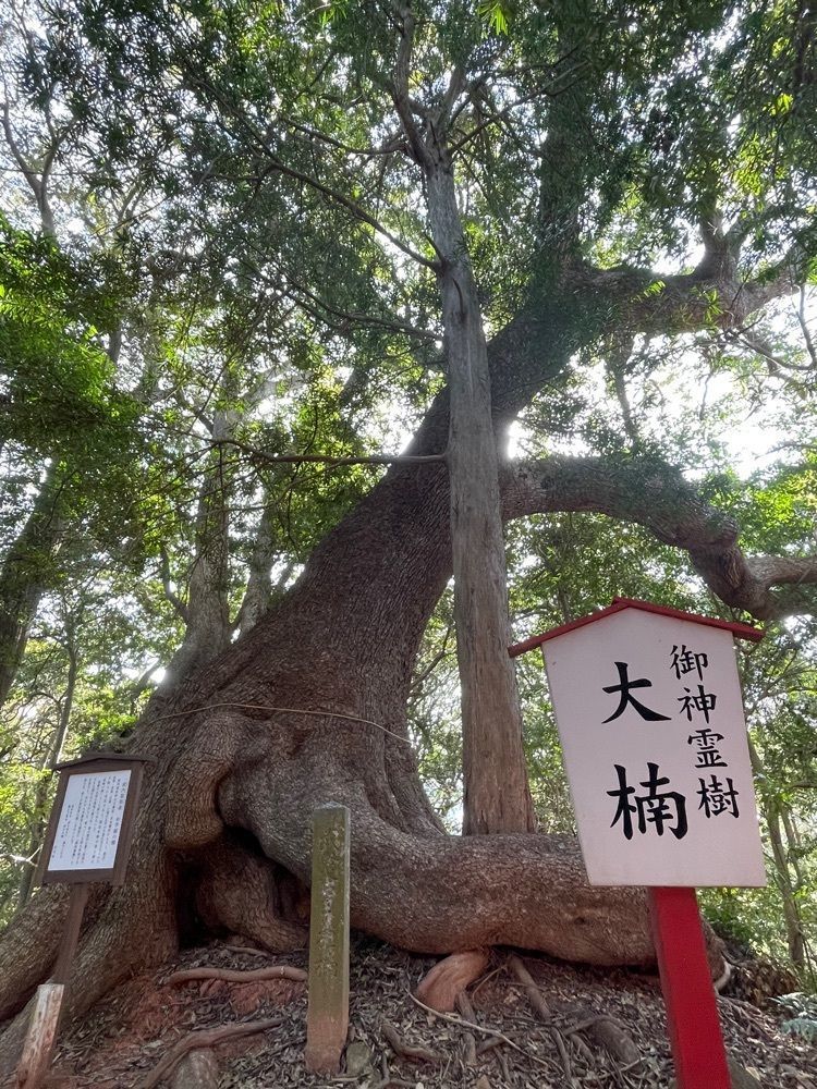 みーなさんが投稿した長門国一の宮住吉神社社叢に関する口コミの画像
