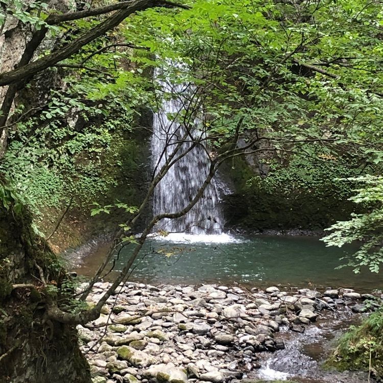kazu&kinakoさんが投稿した星置の滝に関する口コミの画像
