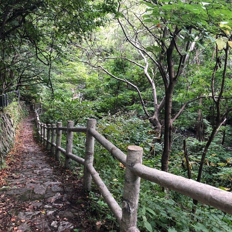 kazu&kinakoさんが投稿した星置の滝に関する口コミの画像