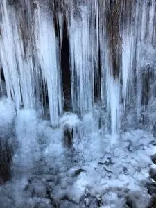 梨木温泉