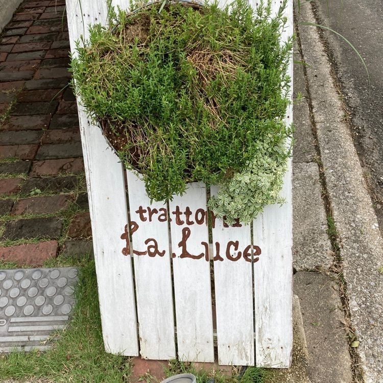 reo0318さんが投稿したトラットリア ラ・ルーチェ（Trattoria La Luce）に関する口コミの画像