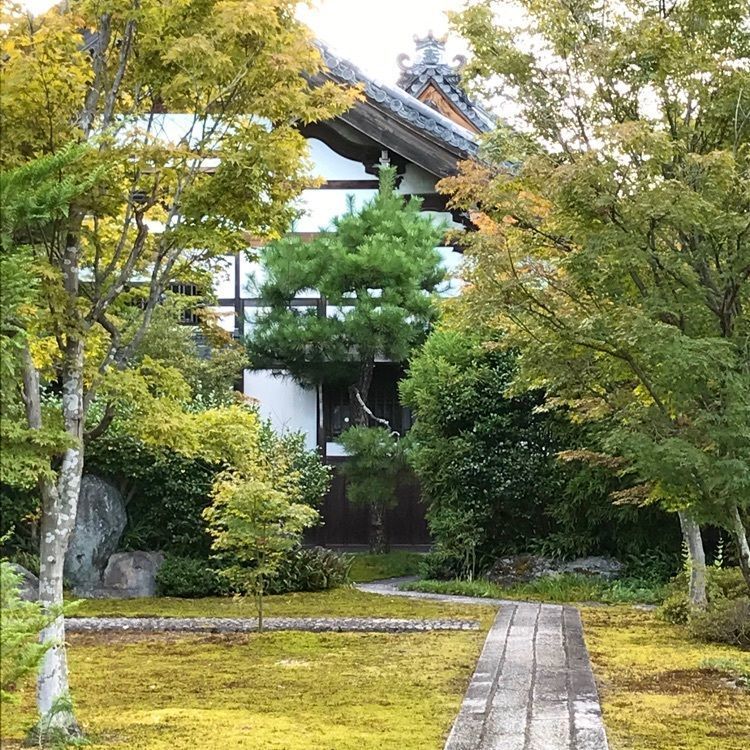 NBR OTさんが投稿した祥瑞寺に関する口コミの画像