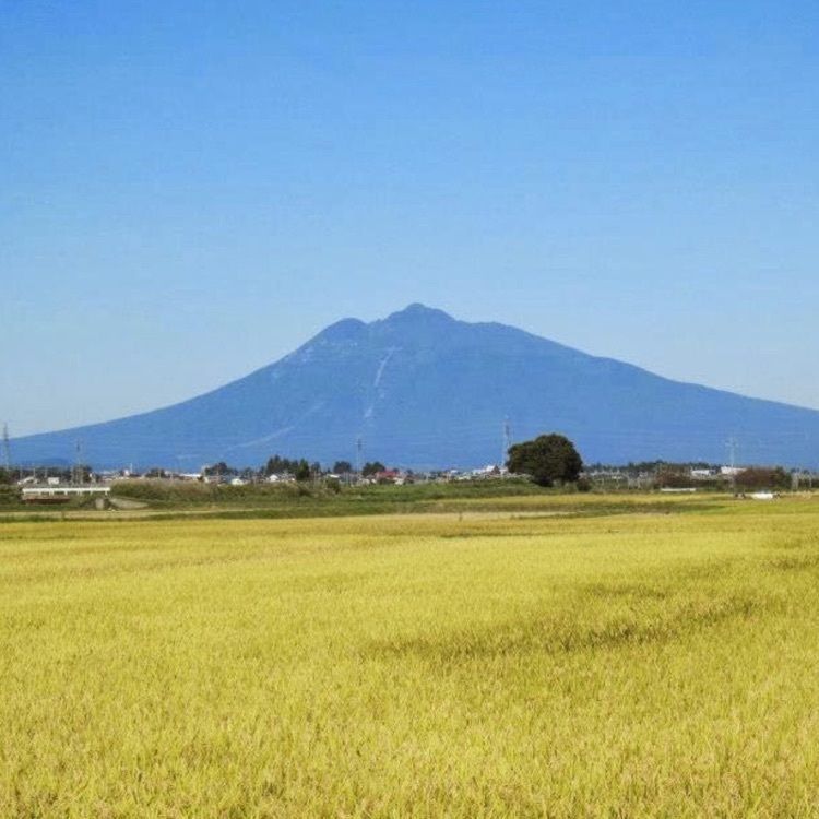 ＤＪゴン太さんが投稿した道の駅ひろさき「サンフェスタいしかわ」に関する口コミの画像
