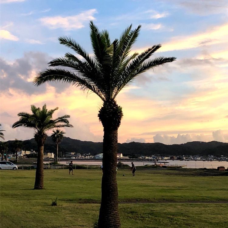 yuu0519さんが投稿した北条海水浴場に関する口コミの画像