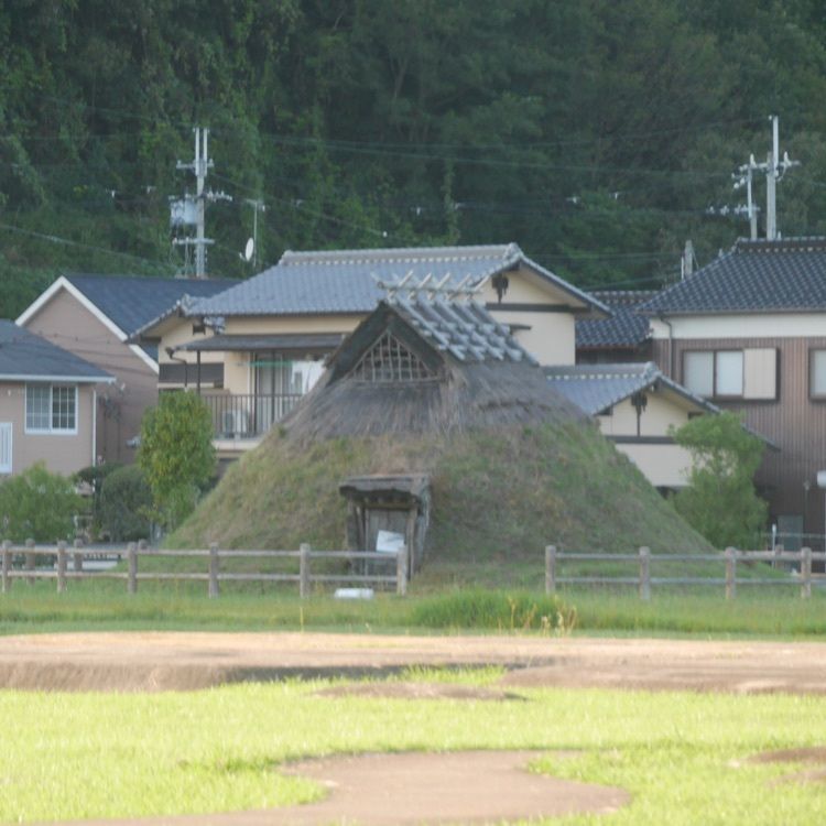 フラミンゴさんが投稿した新宮宮内遺跡に関する口コミの画像