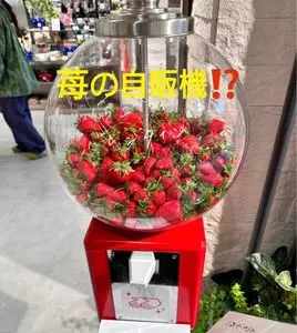 GODIVA 阪神梅田本店（ゴディバ）