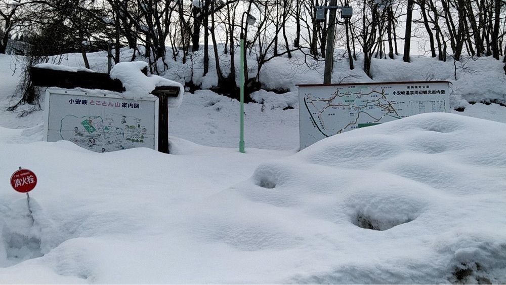 Howl Monさんが投稿したとことん山キャンプ場に関する口コミの画像