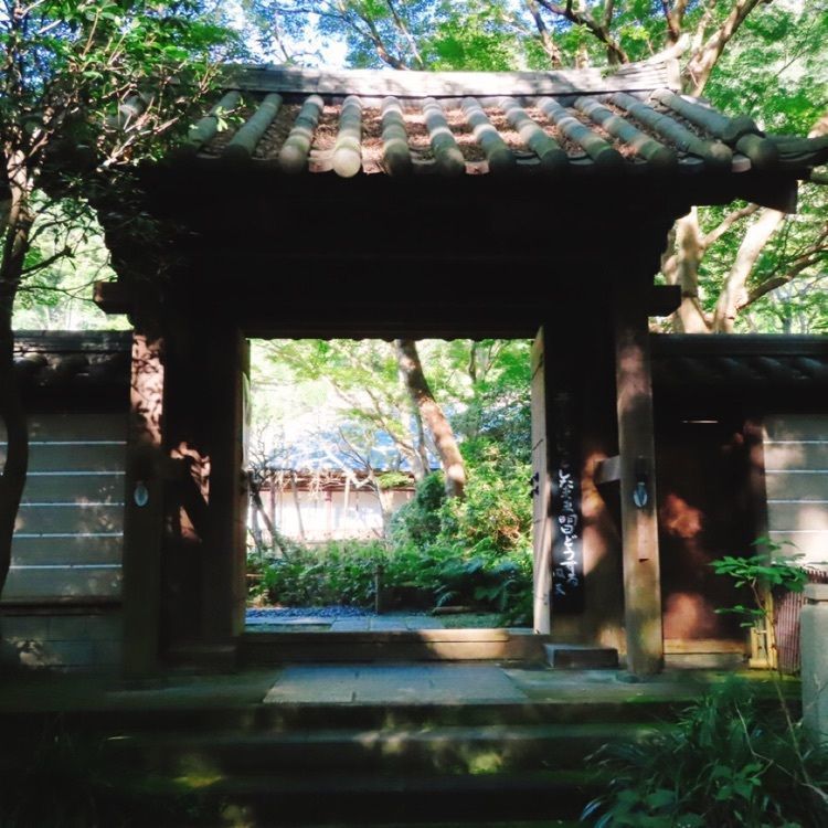 yoshiさんが投稿した瑞泉寺の水仙に関する口コミの画像