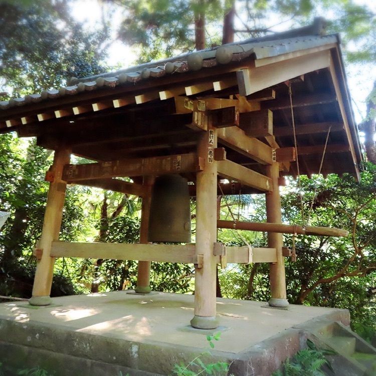 yoshiさんが投稿した瑞泉寺の水仙に関する口コミの画像