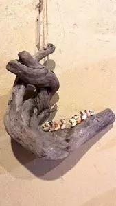 寧