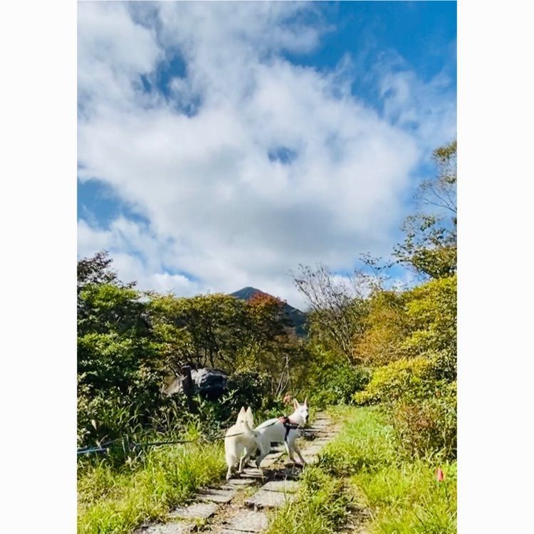 wonderful_street_830dさんが投稿した八ヶ岳美し森ロッジに関する口コミの画像