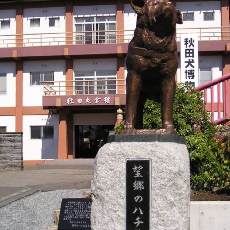 DJゴン太の画像