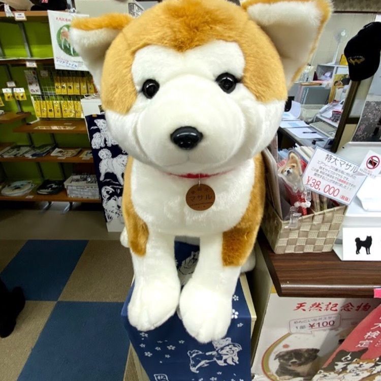 ＤＪゴン太さんが投稿した秋田犬会館に関する口コミの画像