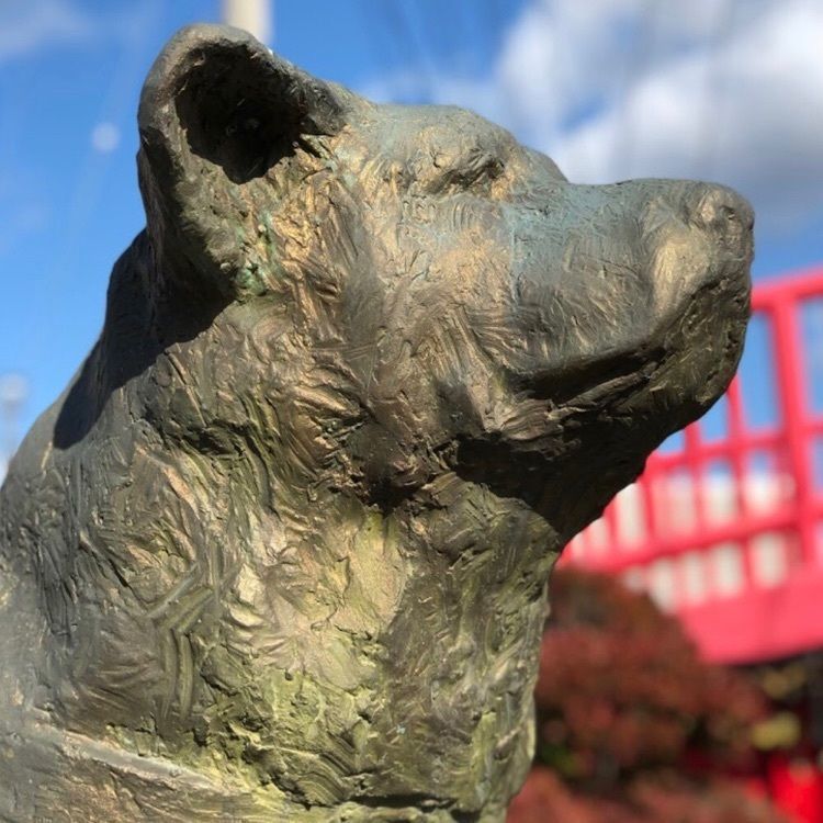 ＤＪゴン太さんが投稿した秋田犬会館に関する口コミの画像