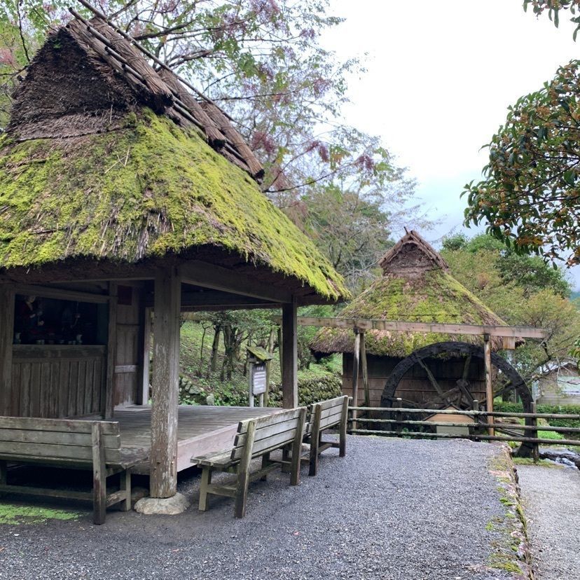 メリーさんが投稿した太郎川公園に関する口コミの画像