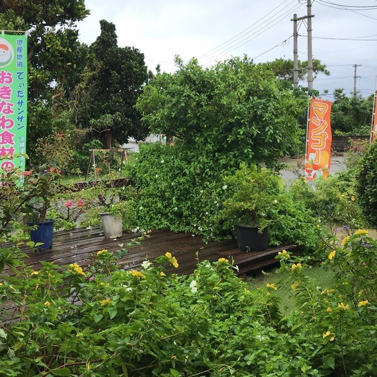 eririnさんが投稿した竜宮城展望台に関する口コミの画像