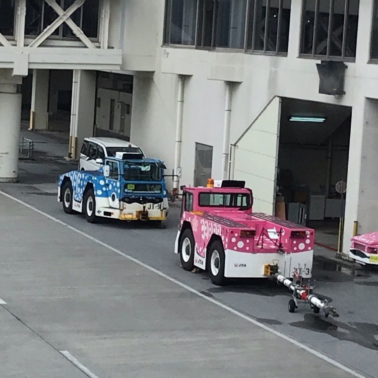 eririnさんが投稿した宮古島の雪塩 宮古空港店（【旧店名】雪塩菓房）に関する口コミの画像